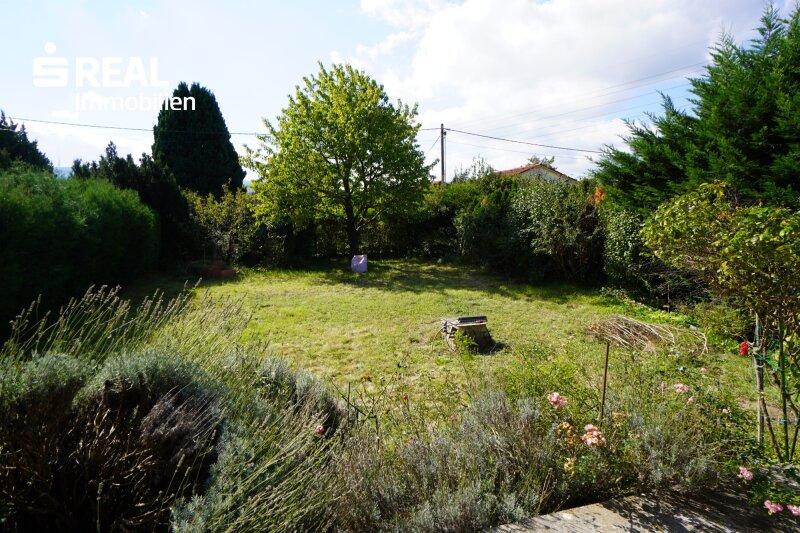 Garten 1