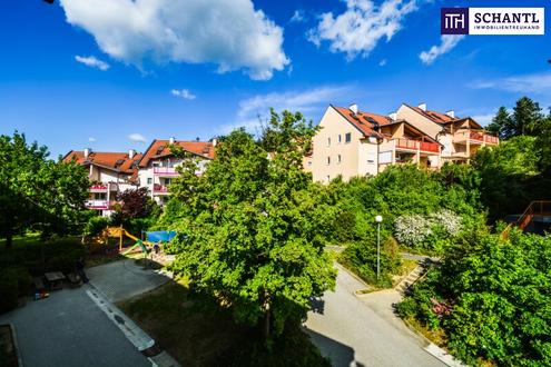 UMGEBEN VON RUHE MIT BLICK INS GRÜNE! Ein Zuhause für alle, die Stille lieben und Qualität spüren wollen. - Ihre Rückzugsoase in Andritz