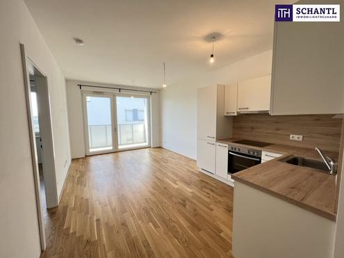 Modern, hell & mit Terrasse - 2-Zimmer-Highlight in der Gymseldorfergasse 48A