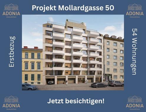 ++MOLLARD 50++ Moderne 3-Zimmer-Wohnung mitten im Herzen der Stadt (1/12)