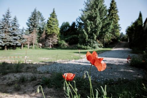 Sonniges Grundstck in ruhiger Zentrumslage von Tullnerbach - PROVISIONSFREI