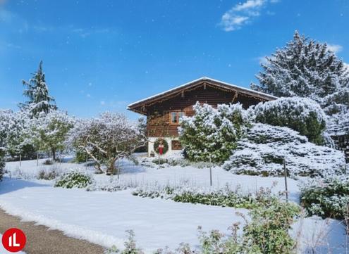 Ihr Stückchen heile Welt - charmantes Blockhaus mit viel Platz im Grünen