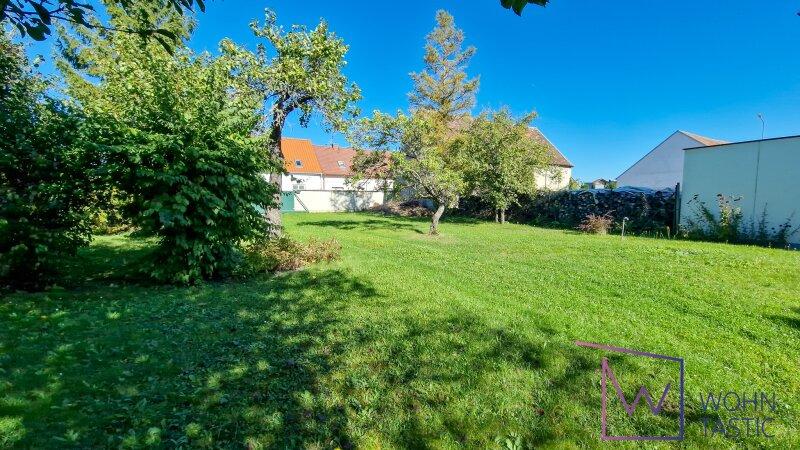 Blick auf das unverbaute Bau-Grundstck 2.