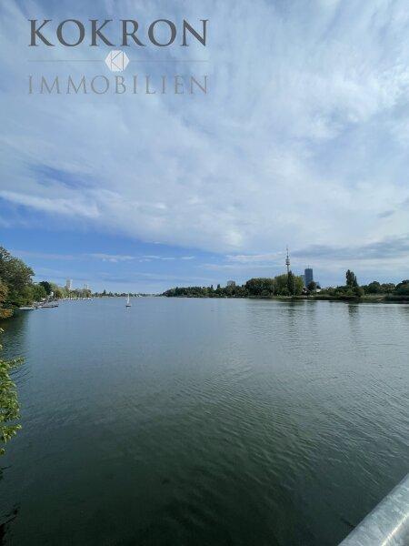 Alte Donau 2