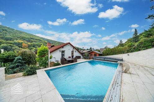Luxurise Villa im Wienerwald - Beheizter Salzwasserpool, Gartenparadies & Premium-Parkmglichkeiten