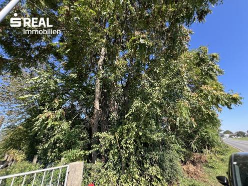 Baugrundst�ck in Top-Lage - perfekt f�r Familien