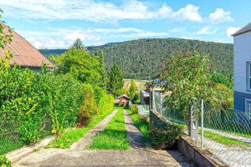 Fahnengrundstck_Zufahrt