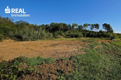 7503 Gropetersdorf - Top aktuelle Investition! Traumhafter Baugrund in ruhig gelegener Sackgasse