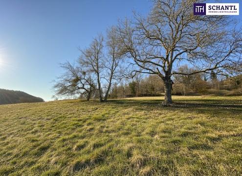 7 Parzellen verfügbar - Tolles Baugrundstück am Sonnenhang in Prenning bei Deutschfeistritz - 3.700 m², aufteilbar in 7 Parzellen
