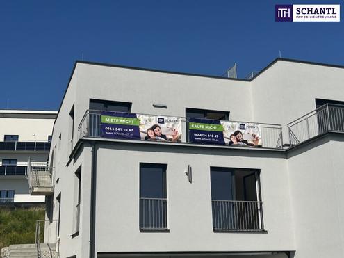 Exklusive Doppelhaushälfte in den Weinbergen - Höchste Energieeffizienz mit Erdwärmeheizung für modernes Wohnen und Genießen!