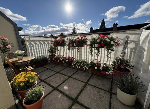 Aehnliche Immobilie - Vorschaubild 2