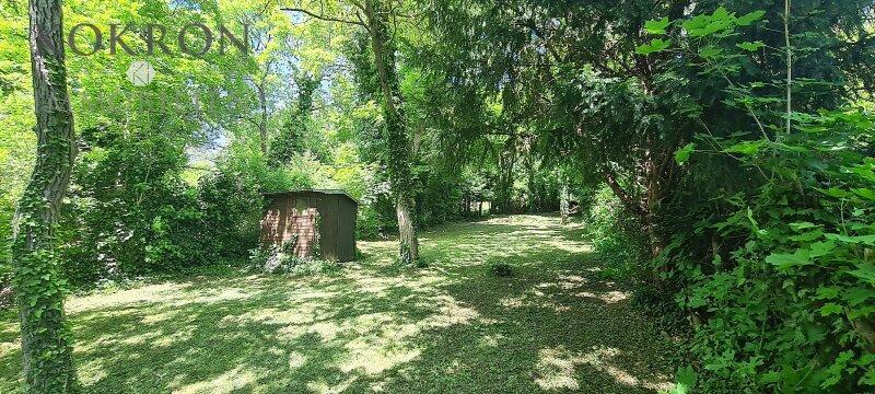 parkhnlicher Gartenbereich