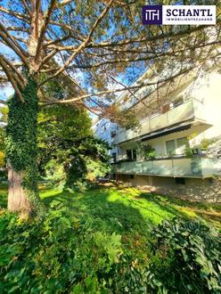 Absolute Grün- und Ruhelage! Gebraucht. Gepflegt. Geliebt! Perfekt aufgeteilte 3-Zimmer + separate Küche / 2 Balkone / Viele Möglichkeiten! Ruhig wohnen, gut leben!