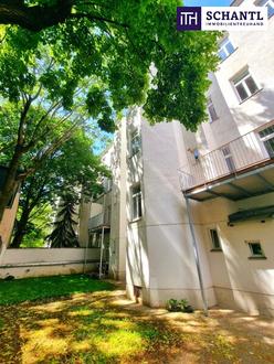 Aehnliche Immobilie - Vorschaubild 1