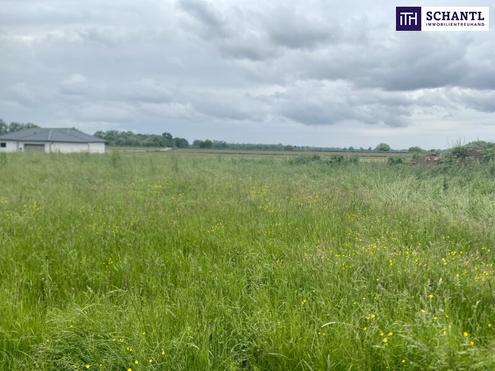 Ruhiges Baugrundstück im Grünen! Hier entsteht Ihr neues Eigenheim! Perfekt für Familien!