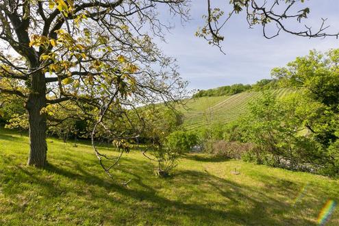 Aehnliche Immobilie - Vorschaubild 2