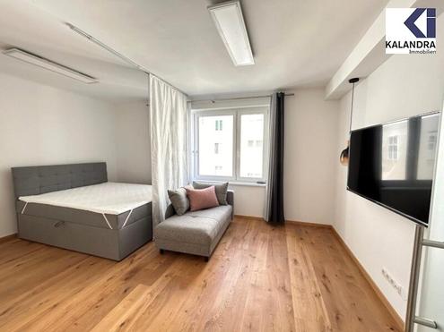 MÖBLIERTES CITY APARTMENT bei der STAATSOPER // FURNISHED CITY APARTMENT at STATE OPERA