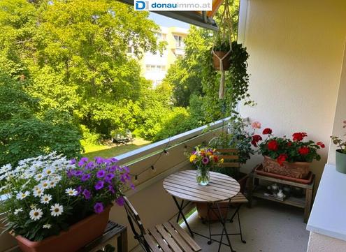 Toplage nahe SCS und Badesee | Sonnige 3-Zimmer-Eigentumswohnung mit Loggia