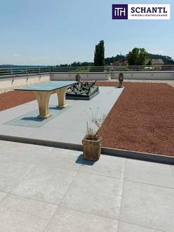 Majestätisches Penthouse in den Weinbergen - Ein exklusives Refugium mit unvergleichlichem Panorama - in 8113 Sankt Bartholomä!