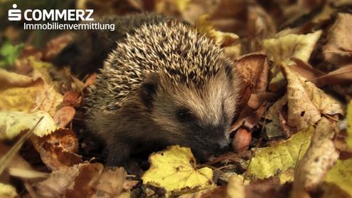 Gartenmomente genießen