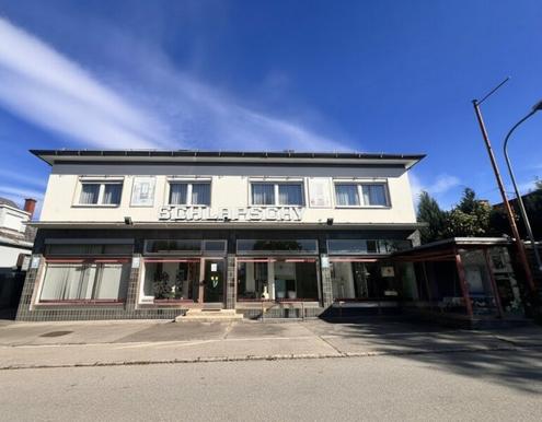 ++Geschftshaus mit Wohnung + privatem Wohnhaus mit Pool und wunderschnem Garten - vielseitig nutzbar und top gelegen++