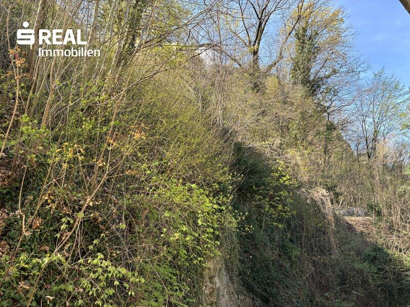 �ppiges Gr�n vor dem Balkon und Schlafzimmerfenster