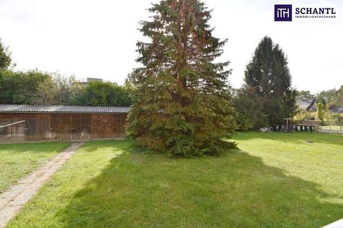 Attraktive RUHELAGE in absoluter STADTNÄHE am MURRADWEG! WG geeignet! Ab sofort verfügbar!