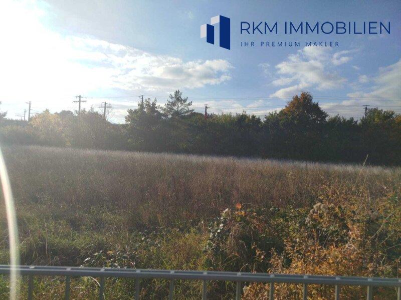 Grundstck Kleingarten Widmung