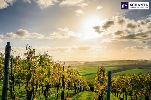 Exklusiv! Besondere Anwesen in der wunderschnen Sdsteiermark - Ihr Rckzugsort mit Charme, Komfort und einen unvergleichbarem Flair!