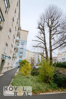 Charmante 3-Zimmer-Wohnung mit viel Licht - ruhig gelegen in Floridsdorf!