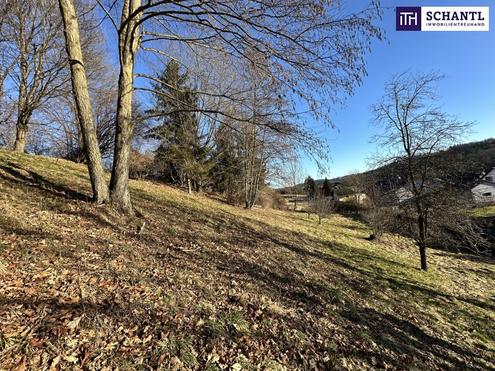 PREISREDUKTION! Attraktiver Baugrund inkl. Bewilligung fr Wohnbauprojekt mit 4 Doppelhaushlften! Jetzt Anfragen!