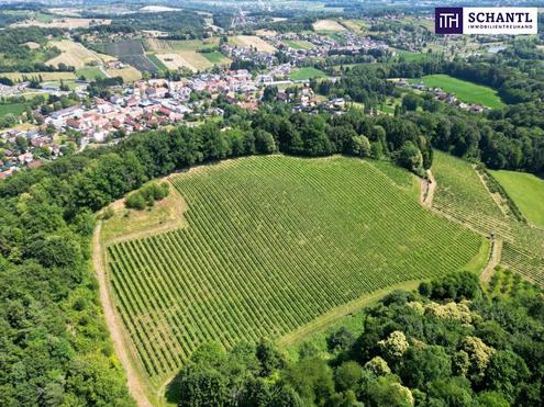 IHRE EIGENEN CHALETS! TRAUMHAFTES GRUNDSTCK AN DER SDSTEIRISCHEN WEINSTRASSE! Ein Ausblick der Ihnen die Sprache verschlagen wird - im schnsten Teil der grnen Steiermark.