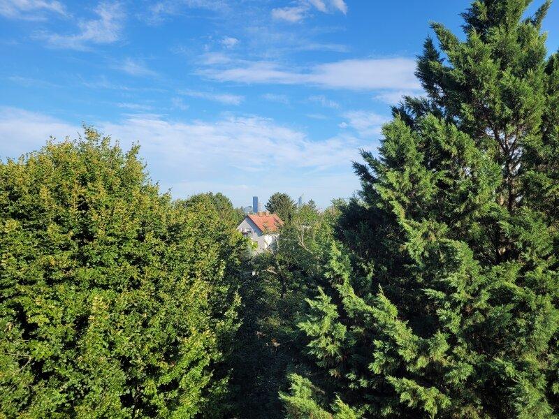 Grn mit Skyline in der Ferne