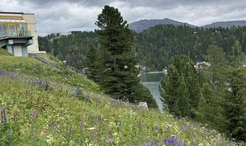 Turracher Hhe - Ein Grundstck mit Seltenheitswert - ideal fr eine hochwertige touristische Entwicklung. Baugrundstck fr eine Apartmentanlage - DIREKT bei der Piste und der Talstation "Panoramabahn"