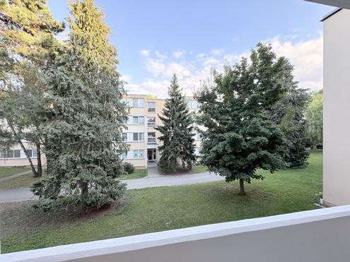 Ruhelage in Klosterneuburg: Renovierungsbedürftige 1-Zimmer-Wohnung mit Loggia