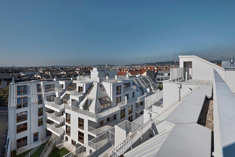 Schumanngasse | Dachterrasse