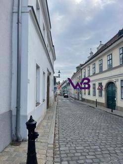 1190 Wien, Zinshaus komplett leer, entkernt!