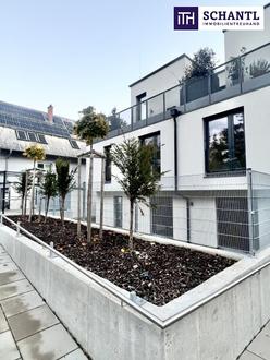 Wiener Weinberge vor der Tür ++ PROVISIONSFREI und SOFORT BEZUGSFERTIG ++  2 Zimmer ++ Balkon ++ Perfekte Infrastruktur ++ Designbad ++ Durchdachter Grundriss ++ Klimatisiert ++ Hauseigene Tiefgarage