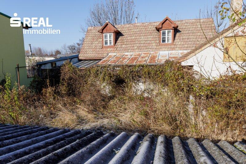 Grundstck Altbestand 1