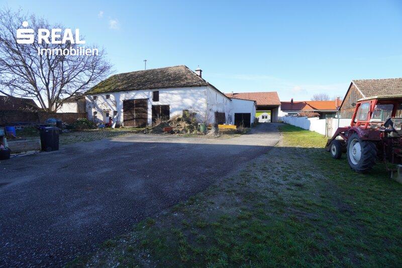 Grundstck mit Altbestand 2