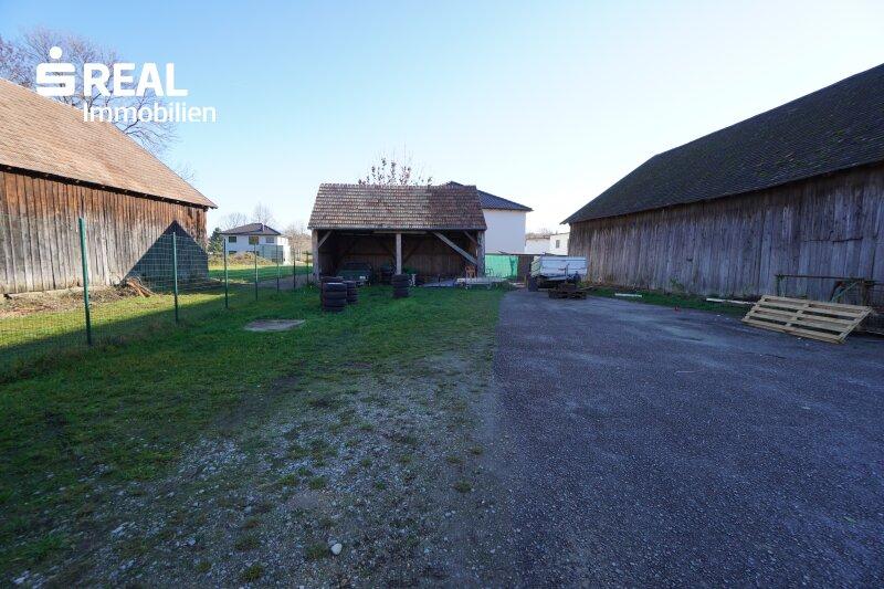 Grundstck mit Altbestand 3