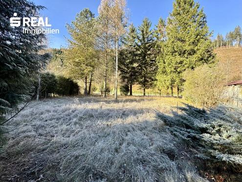 Grundstck in Gaupmannsgraben (Land- Forstwirtschaft)