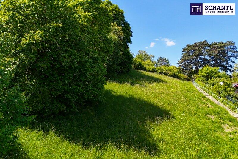 Grundstck, westliche Seite