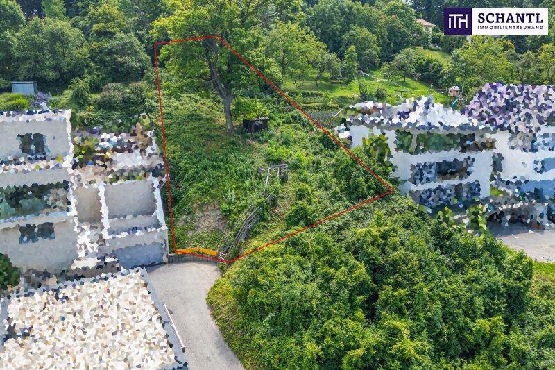 Abbildung von Grundstck und Umgebung aus der Vogelperspekti