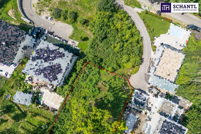 Abbildung von Grundstck und Umgebung aus der Vogelperspekti
