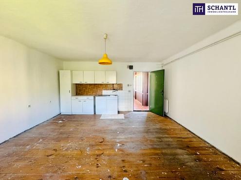 Sanierungsbedürftig - Charmante 55m2 Wohnung mit enormen Potenzial in zentraler Grazer Lage -nähe FH!