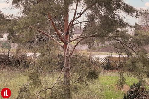 Gerumige 4-Zimmer-Wohnung mit Loggia in Trautmannsdorf - Nhe Badesee!