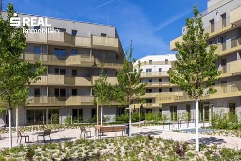 Aehnliche Immobilie - Vorschaubild 3