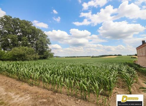 Baugrundstck in 2111 Tresdorf - 1.001 m in toller Ruhelage