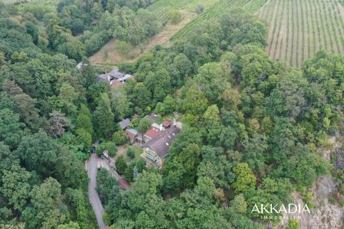 Aehnliche Immobilie - Vorschaubild 1